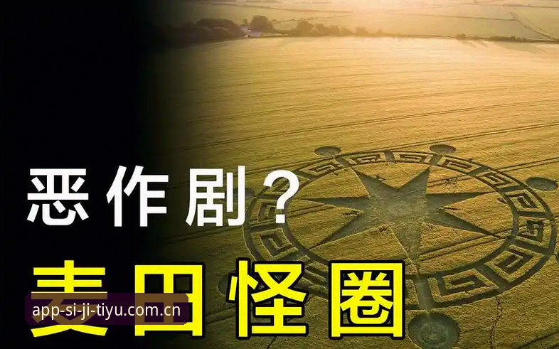 揭秘四季体育平台：官方下载链接背后的真相与数据